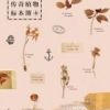 《探险家的传奇植物标本簿》