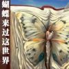 《蝴蝶来过这世界》