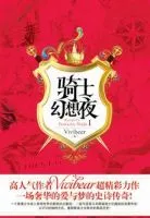 《骑士幻想夜》