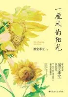 《一厘米的阳光》