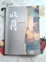 光辉岁月(小说)