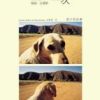《一次·图片和故事》
