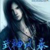 《武神风暴》