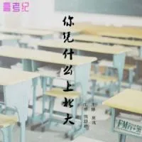 《你凭什么上北大》