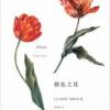 《情色之花》