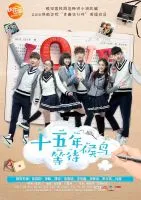 《十五年等待候鸟》