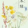 《采绿》