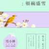 《繁花不惊，银碗盛雪》