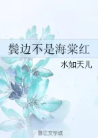 《鬓边不是海棠红》