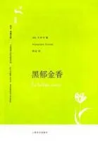 黑郁金香