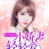 《帝少溺宠：小娇妻，满天满天爱》