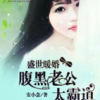《盛世暖婚，腹黑老公太霸道》
