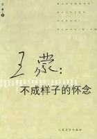 不成样子的怀念