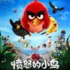 《愤怒的小鸟》