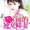 《偷心108次：首席的独宠鲜妻》