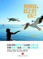 我喜欢,路上的自己