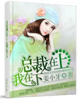 《总裁在上我在下》