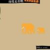 《印度走着瞧》