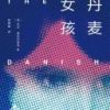 《丹麦女孩》