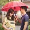 《我的青春遇见你》