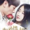 《遇见爱情的利先生》