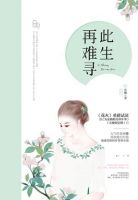 此生再难寻