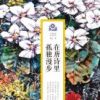 《在唐诗里孤独漫步》