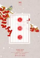 《长相思(桐华小说)》