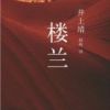 《楼兰》
