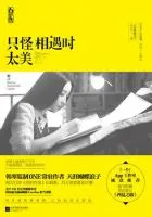 只怪相遇时太美