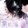 《紫玫瑰》