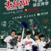 《求婚大作战(中国电视剧)》