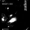 《此生是我吗》