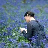 淡蓝蓝蓝的名言