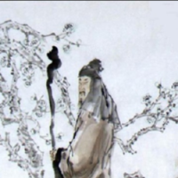 作者头像
