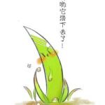 三水小草