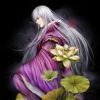火狸