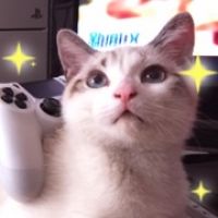 森罗jusaka的经典台词