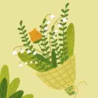 记录我的慢生活