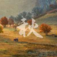 分享你镜头下的“秋天”