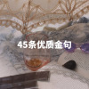 高中作文素材⑪｜优质金句