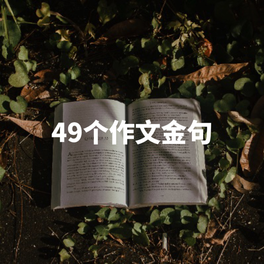 49个超棒的作文金句