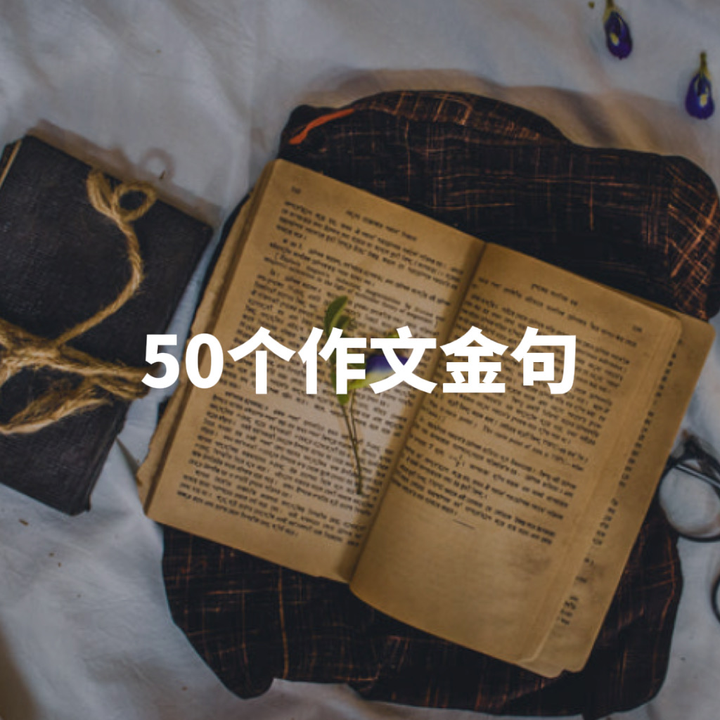 高中作文素材⑩｜超棒金句