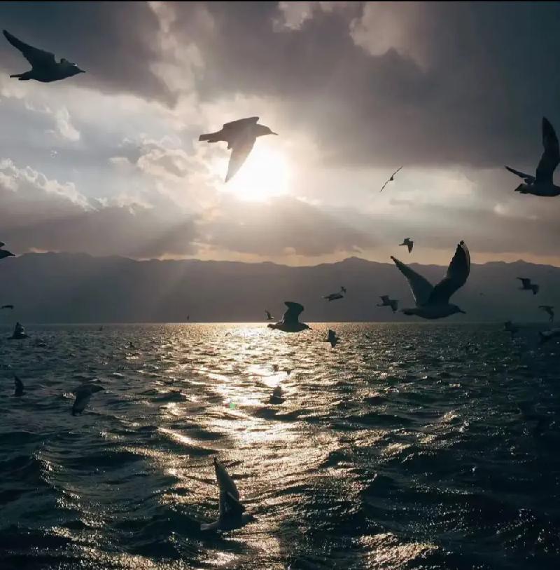 让人眼前一亮的旅游文案