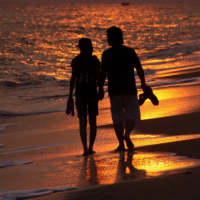 路边的风景好美