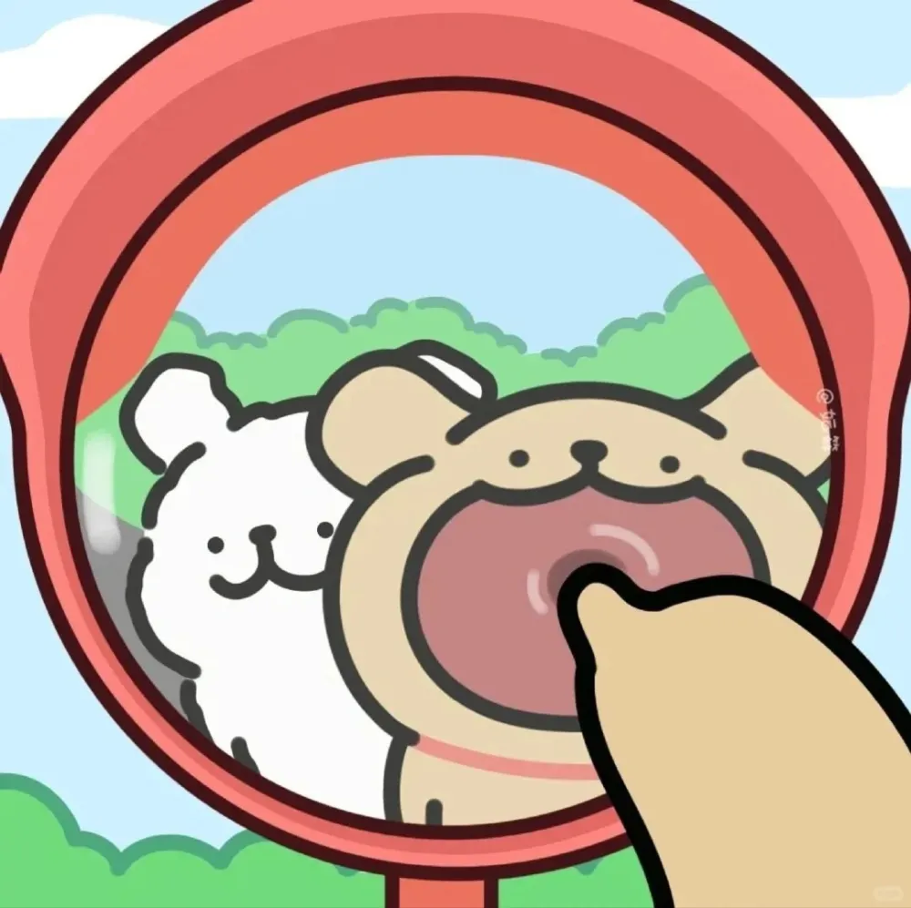 小红书标题模板
