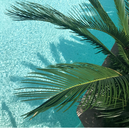 夏日浪漫｜文艺作品中治愈而清新的夏天