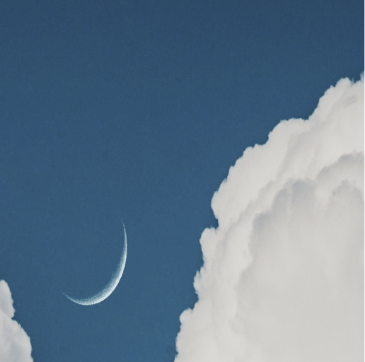 万能话术｜聊天中可以用的沙雕歇后语