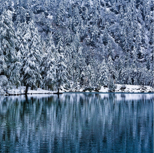 顾城 | 顾城诗里的朦胧美好