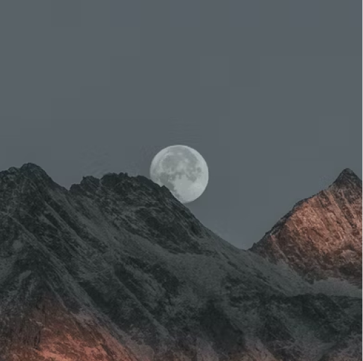 《瓦尔登湖》｜宁静智慧的经典语录